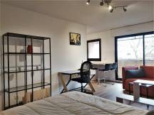 Appartement   1½- Toulouse (31400)