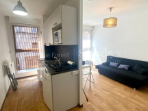 Appartement  - Lille (59000)